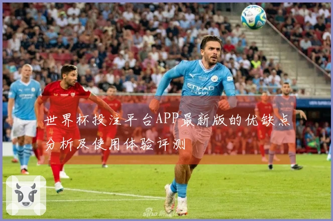 世界杯投注平台APP最新版的优缺点分析及使用体验评测
