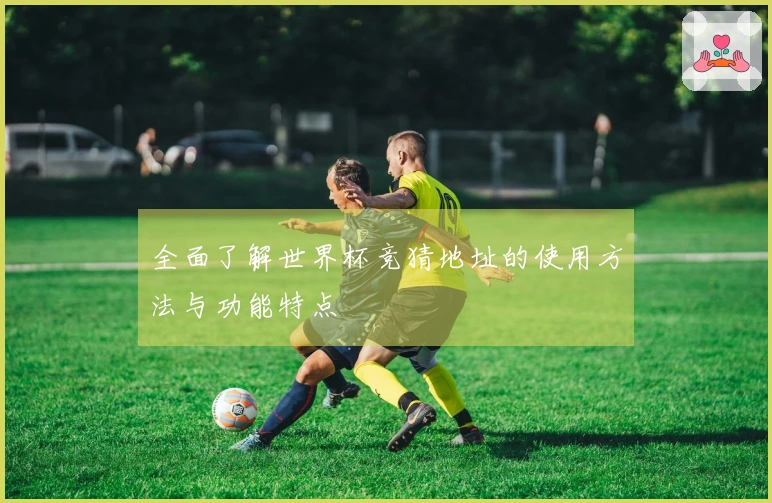 全面了解世界杯竞猜地址的使用方法与功能特点