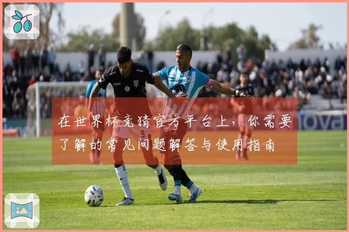 在世界杯竞猜官方平台上，你需要了解的常见问题解答与使用指南