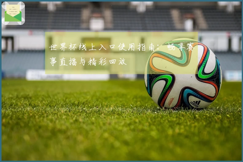 世界杯线上入口使用指南：畅享赛事直播与精彩回放