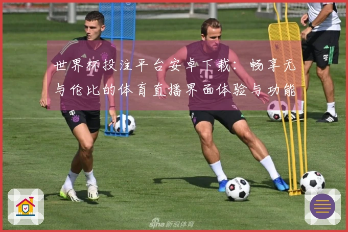 世界杯投注平台安卓下载：畅享无与伦比的体育直播界面体验与功能介绍