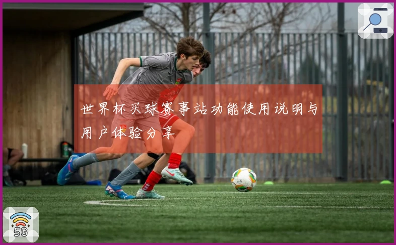 世界杯买球赛事站功能使用说明与用户体验分享