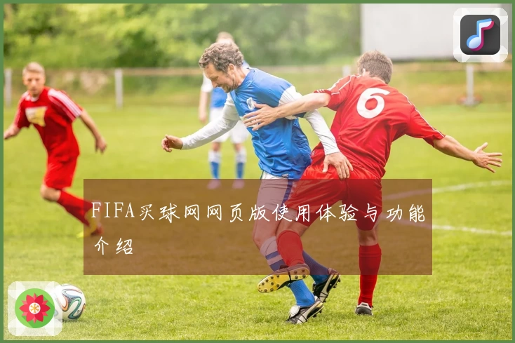 FIFA买球网网页版使用体验与功能介绍