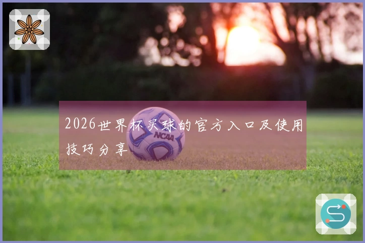 2026世界杯买球的官方入口及使用技巧分享