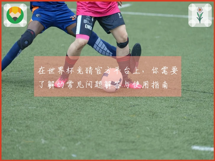 在世界杯竞猜官方平台上，你需要了解的常见问题解答与使用指南