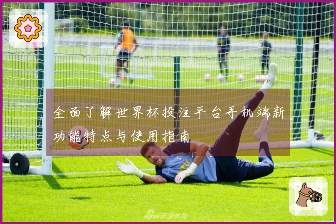 全面了解世界杯投注平台手机端新功能特点与使用指南