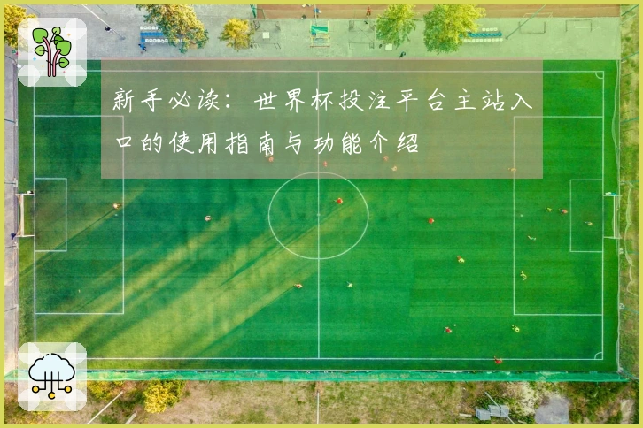 新手必读：世界杯投注平台主站入口的使用指南与功能介绍