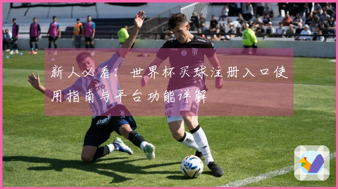 新人必看：世界杯买球注册入口使用指南与平台功能详解