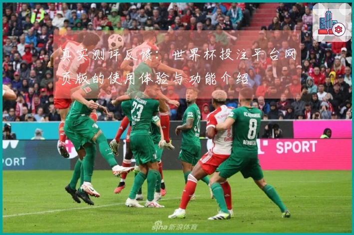 真实测评反馈：世界杯投注平台网页版的使用体验与功能介绍