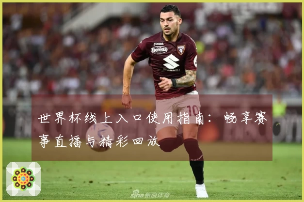世界杯线上入口使用指南：畅享赛事直播与精彩回放
