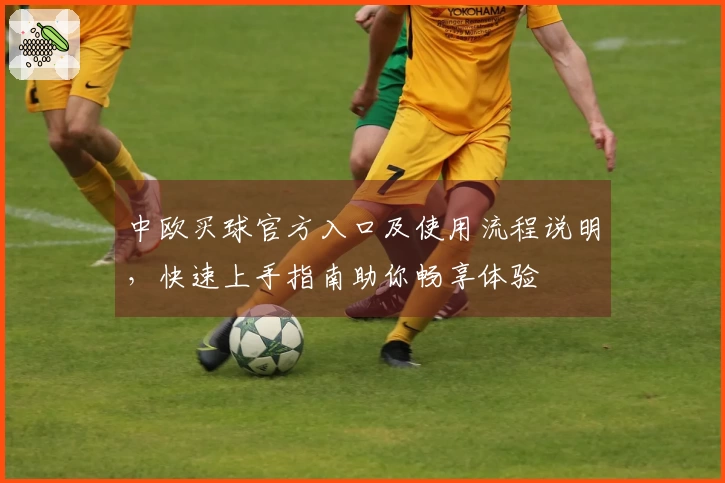 中欧买球官方入口及使用流程说明，快速上手指南助你畅享体验