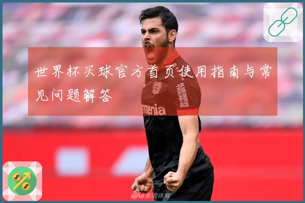 世界杯买球官方首页使用指南与常见问题解答
