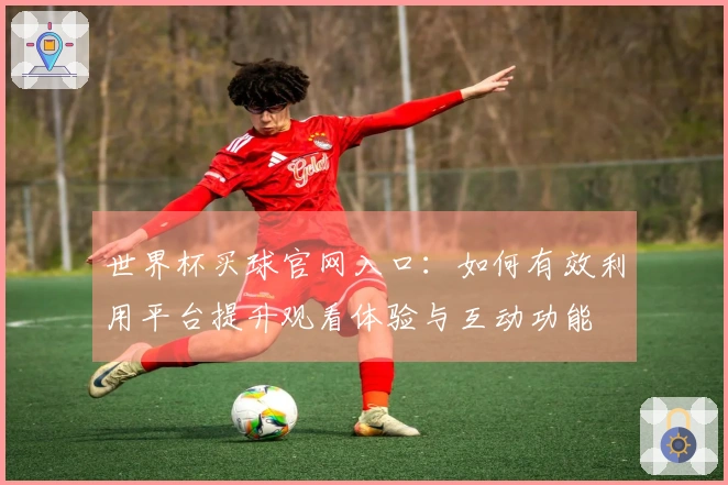世界杯买球官网入口：如何有效利用平台提升观看体验与互动功能