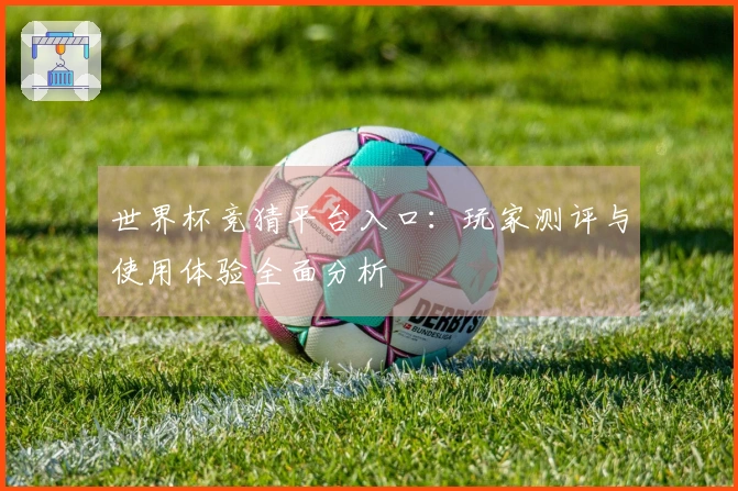 世界杯竞猜平台入口：玩家测评与使用体验全面分析