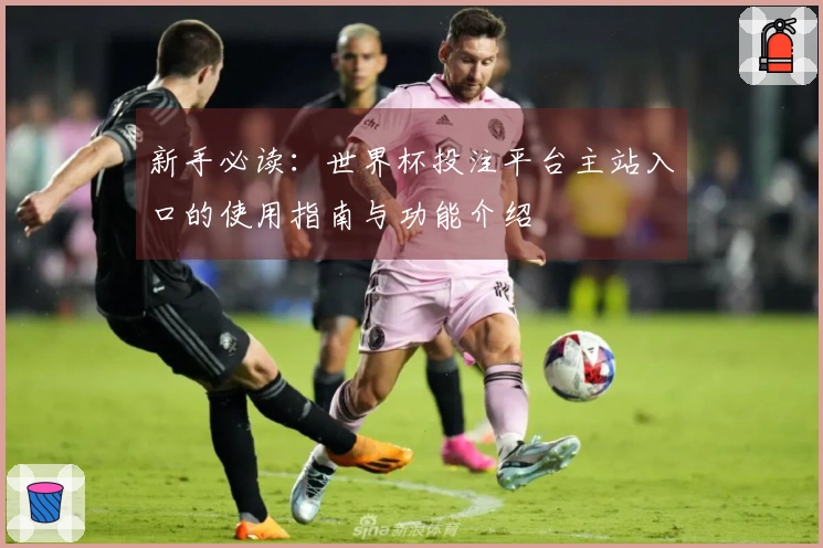 新手必读：世界杯投注平台主站入口的使用指南与功能介绍